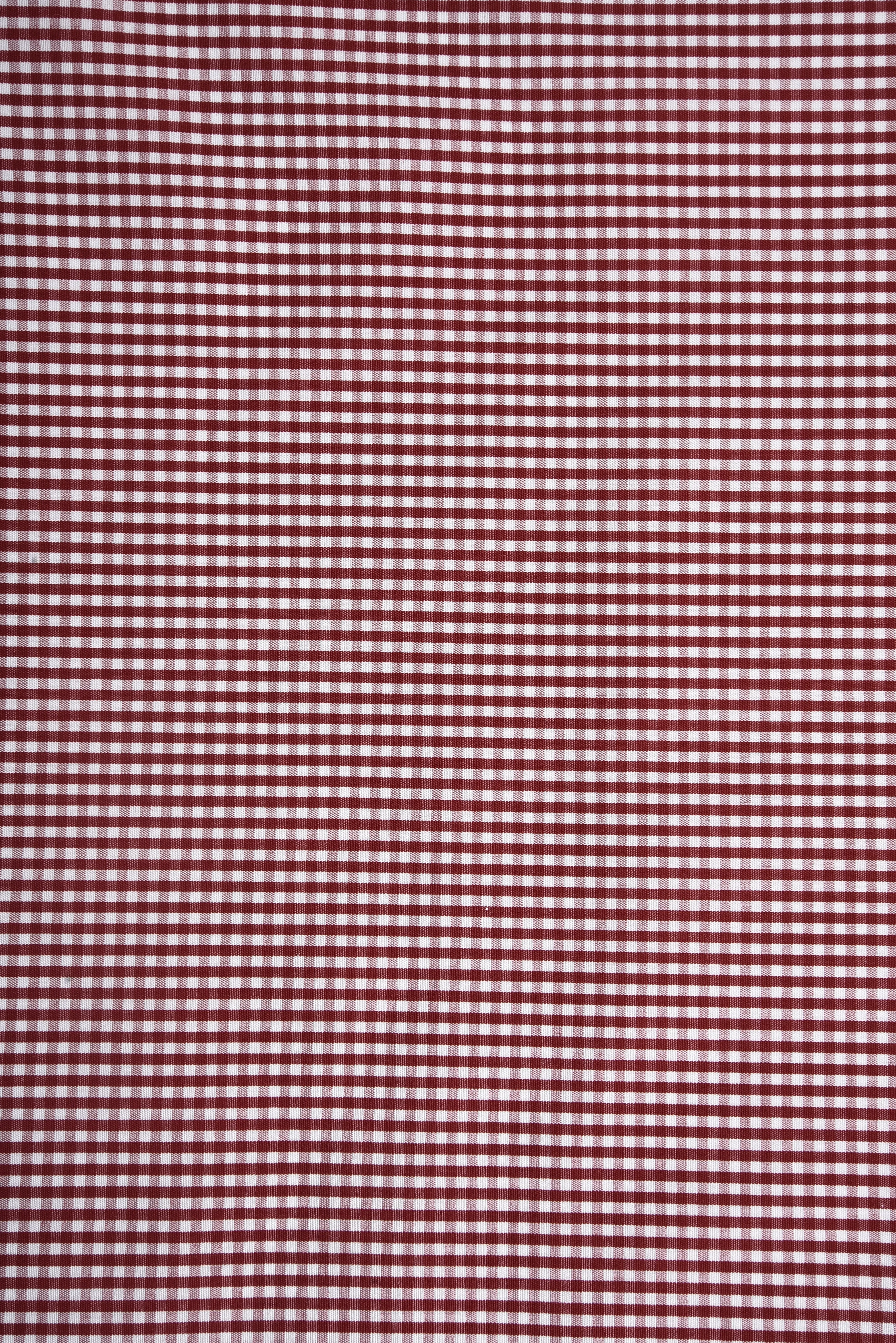 Red Mini Checks Shirt